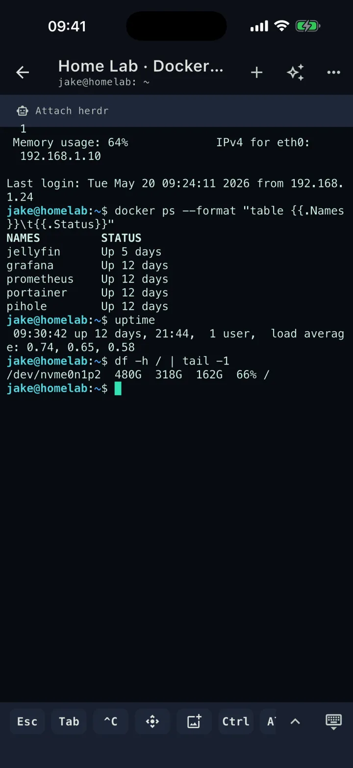 Terminal